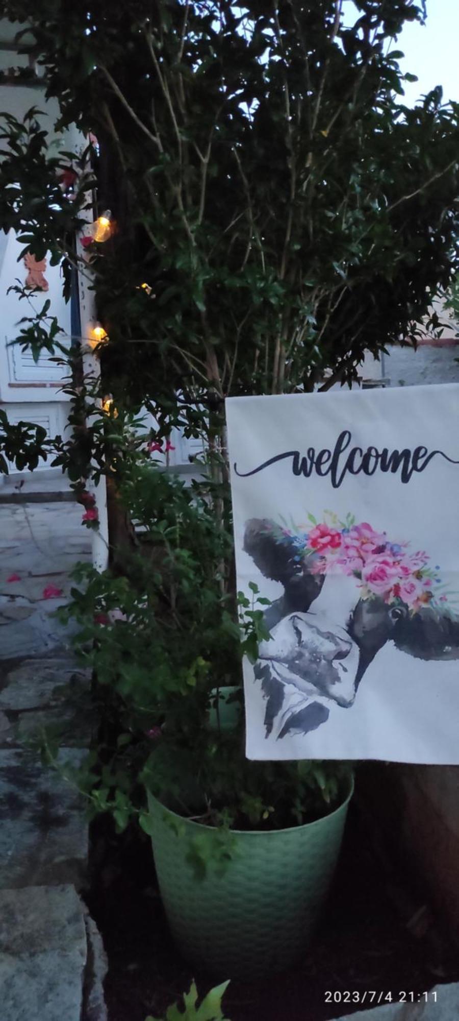 Secret Garden Home Lagonissi Attiki Foinikia  Luaran gambar