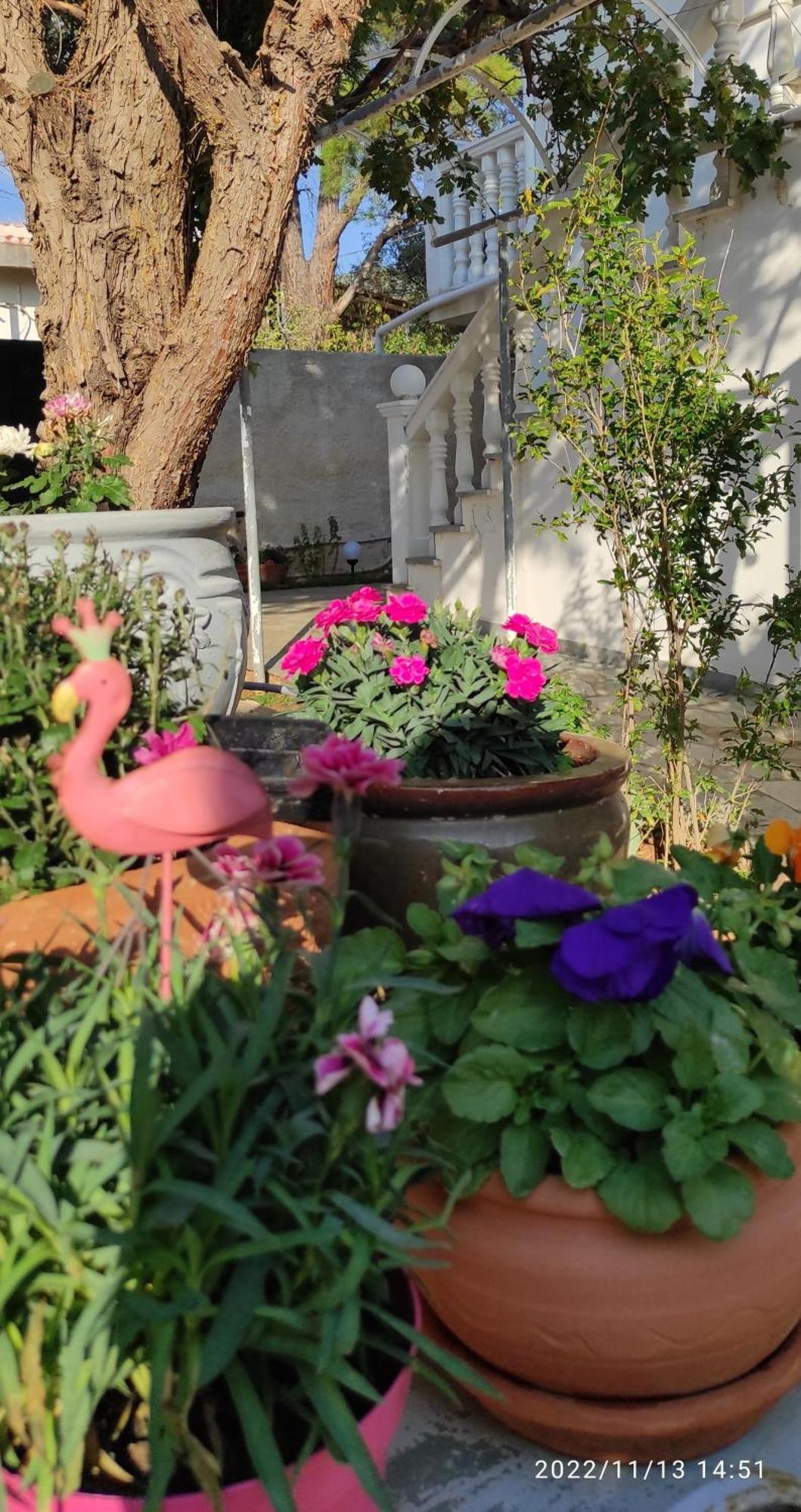 Secret Garden Home Lagonissi Attiki Foinikia  Luaran gambar
