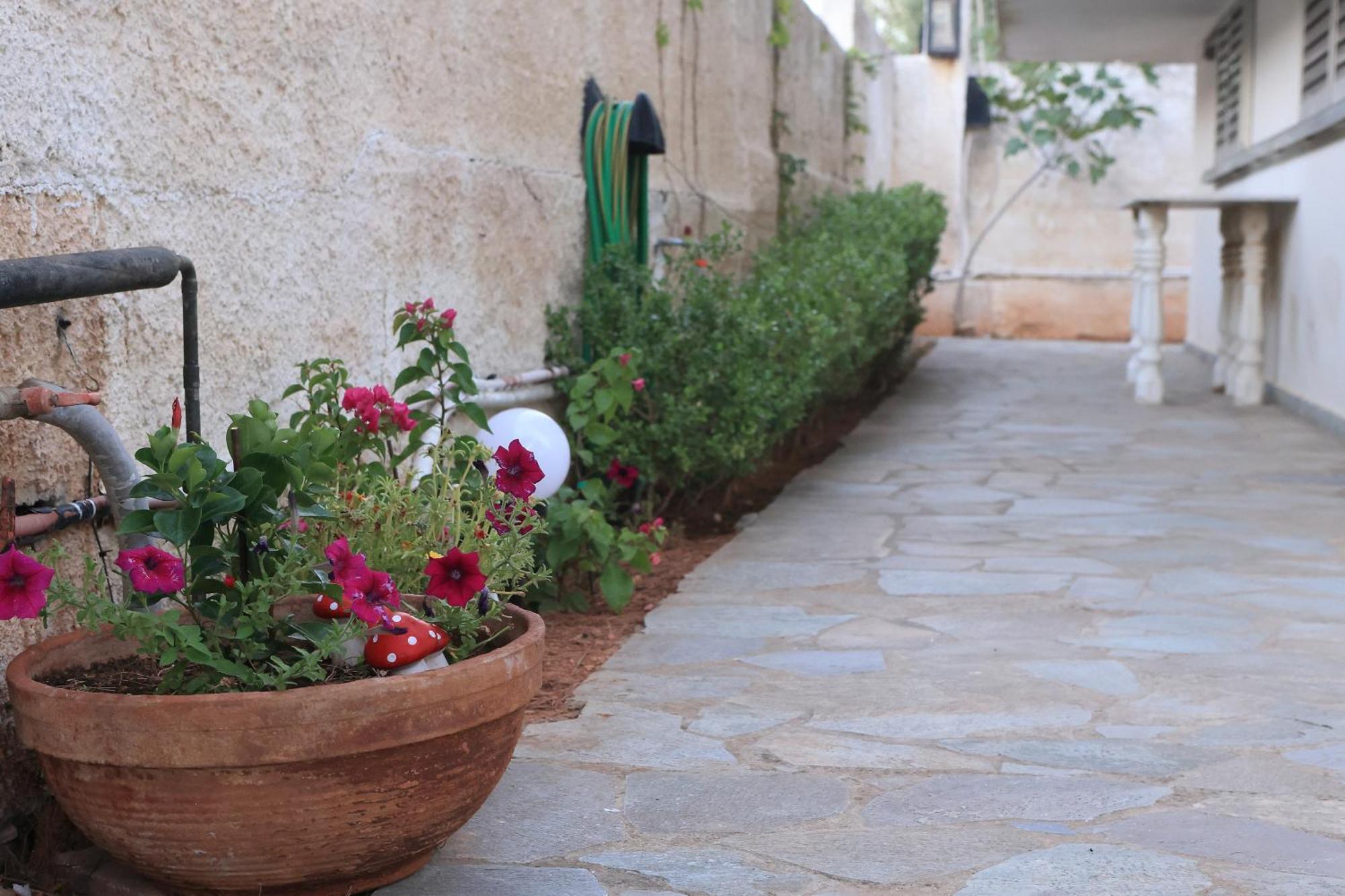 Secret Garden Home Lagonissi Attiki Foinikia  Luaran gambar