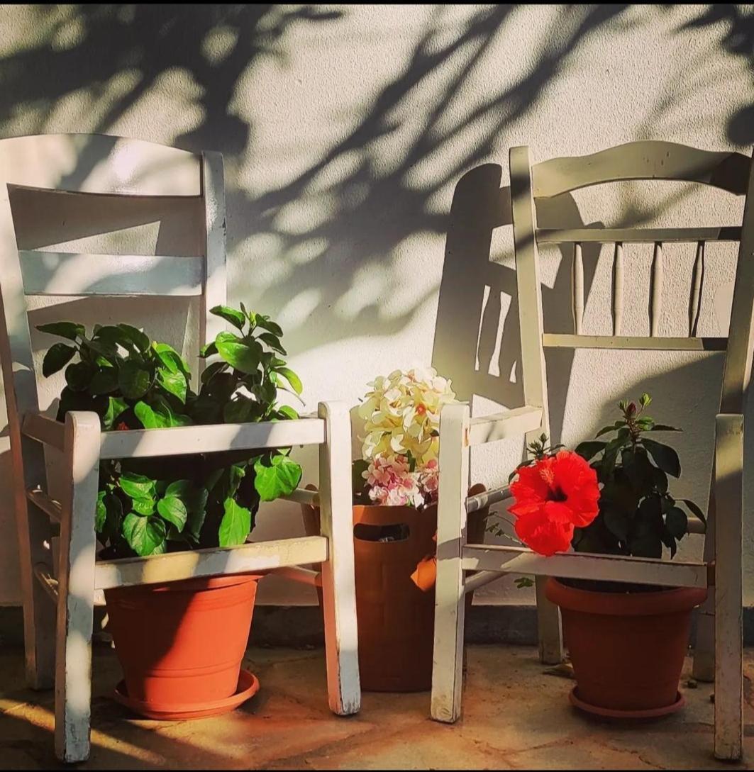 Secret Garden Home Lagonissi Attiki Foinikia  Luaran gambar